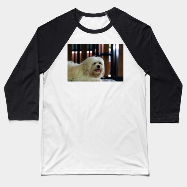 Sophie's Portrait Baseball T-Shirt by likbatonboot